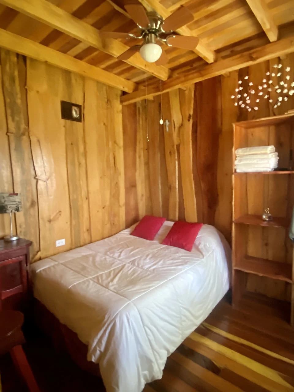 54 Acre Ranch in San Vito, Coto Brus - photo 7