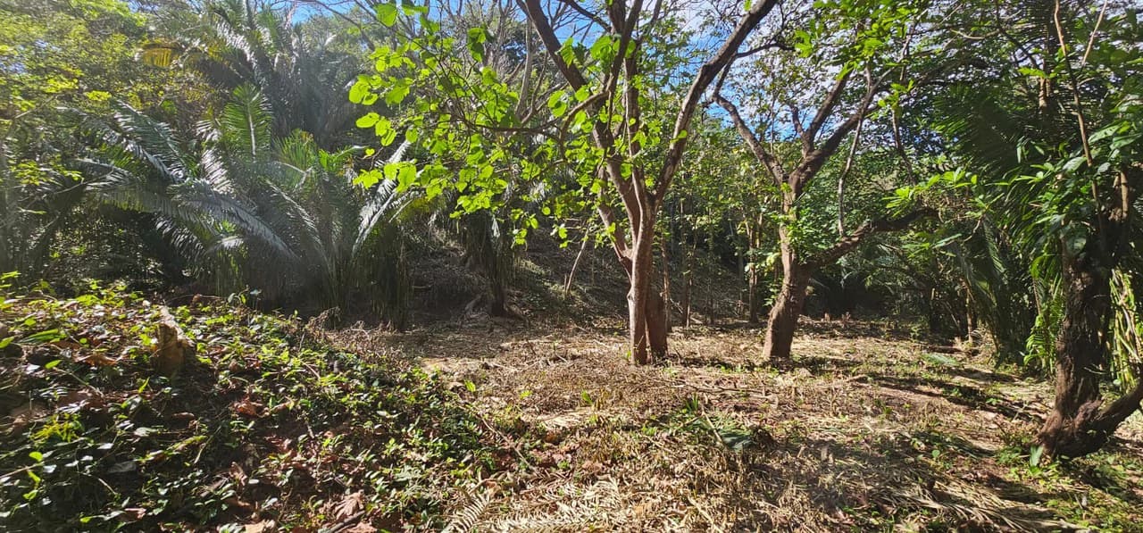 1-Acre Lot with Seasonal Creek - Build Your Dream Home, Rentals, or Business - photo 7