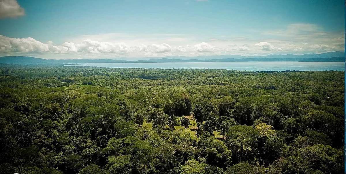 Gulf View Gallardo Farm Gallardo, Puerto Jimenez, Osa Peninsula