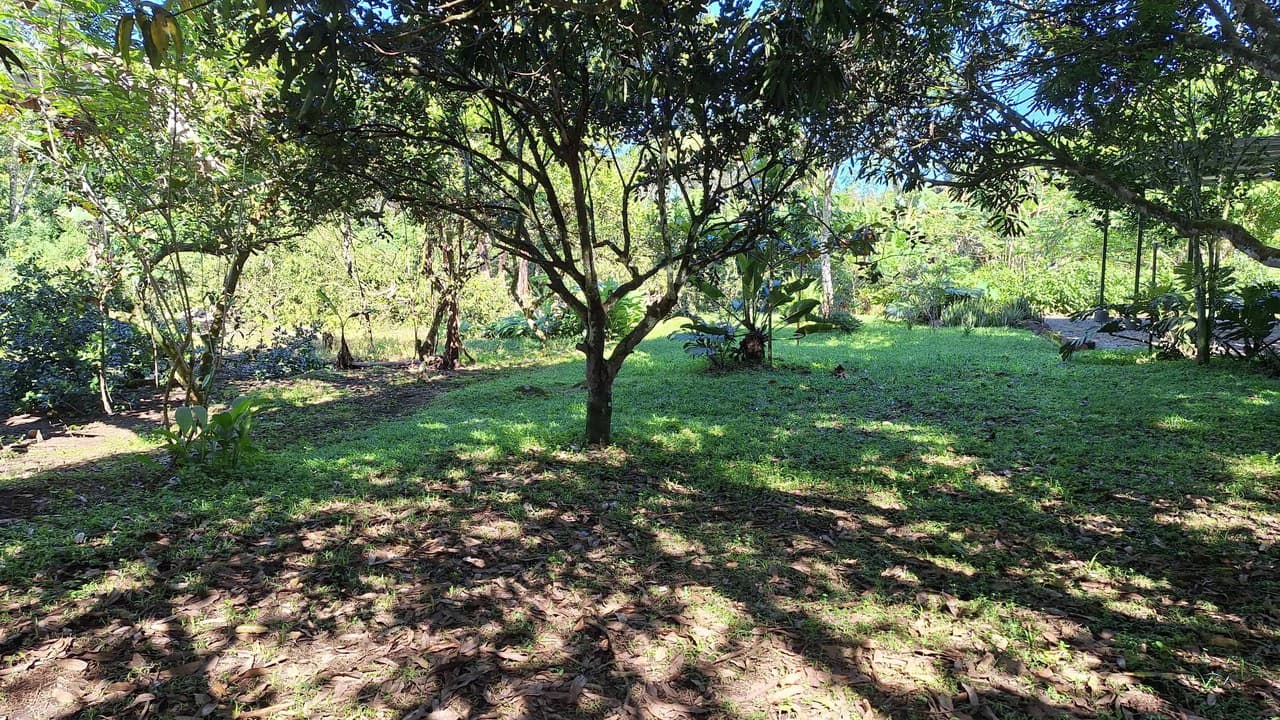 2 Casas en Venta, General Viejo.: Mountain House For Sale in General Viejo - photo 9