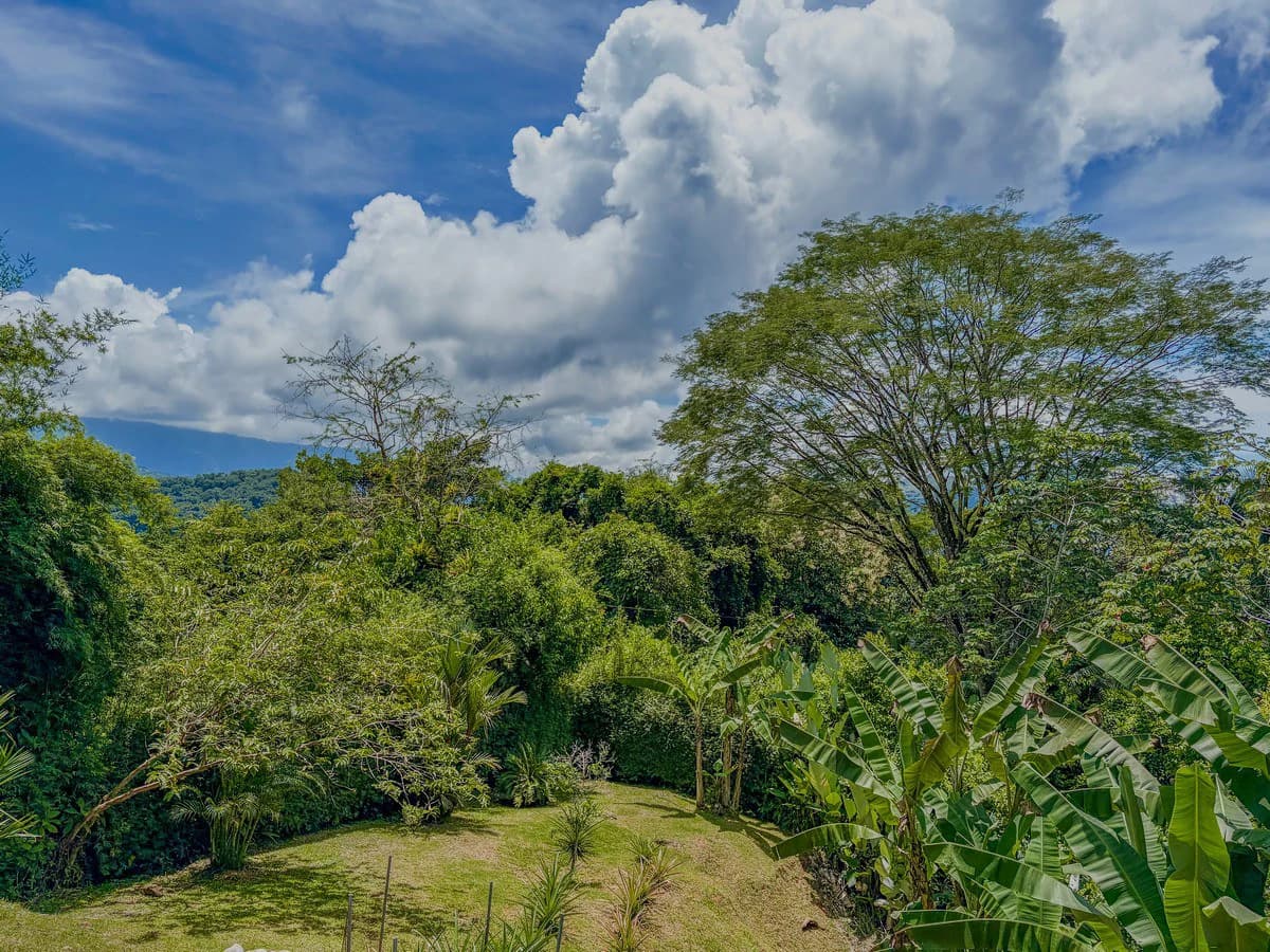 0.8 ACRES- 2 Bedrooms w/ Conversion Potential to 3 Bedrooms, 2 Full Bathrooms, Saltwater Pool, 8min to Dominical, and TWO 4×4 Vehicles Included!!! - photo 9