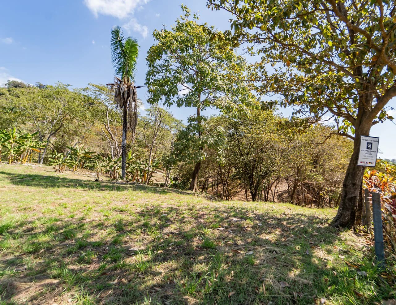 Lote Camaronal Natural: Half Acre Lot Just Mins to the Surf - photo 7