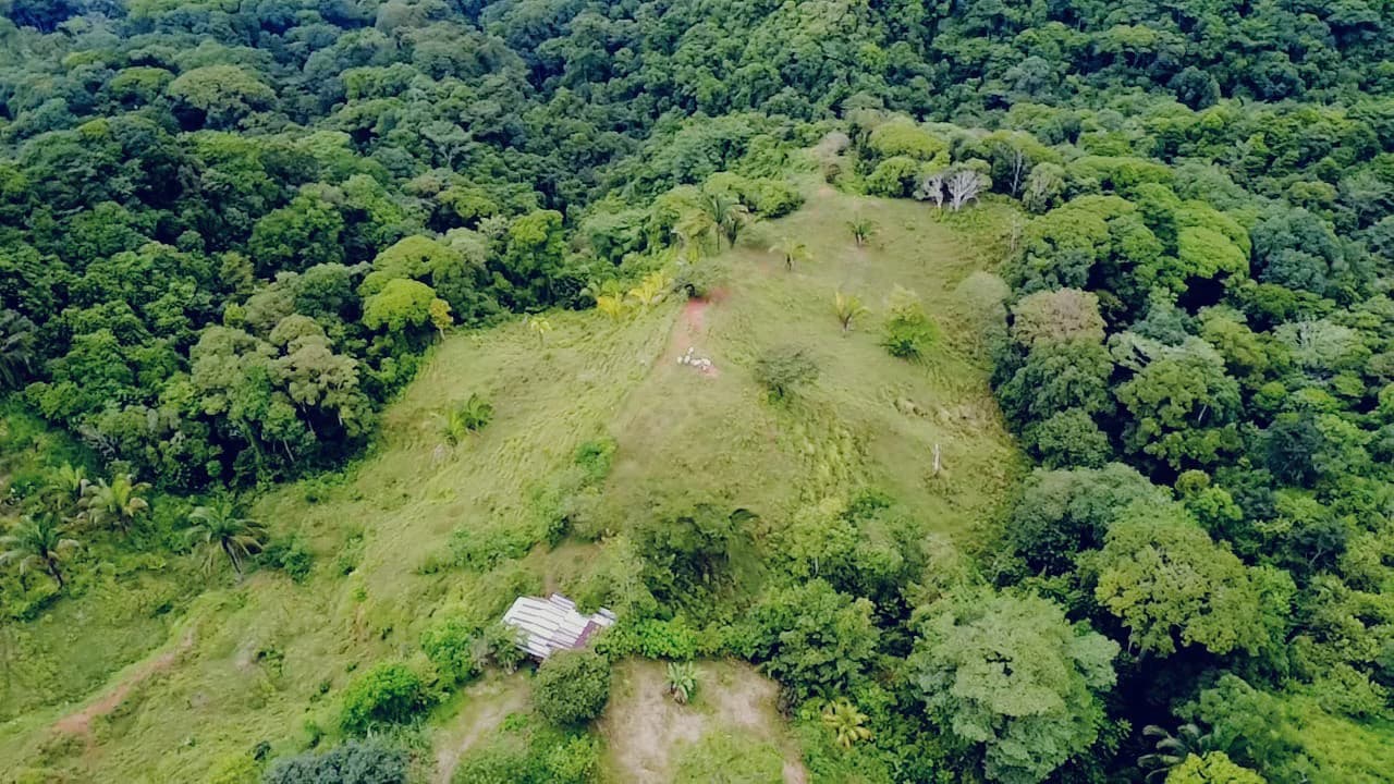 Near the Coast Home Construction Site For Sale in Osa - photo 4