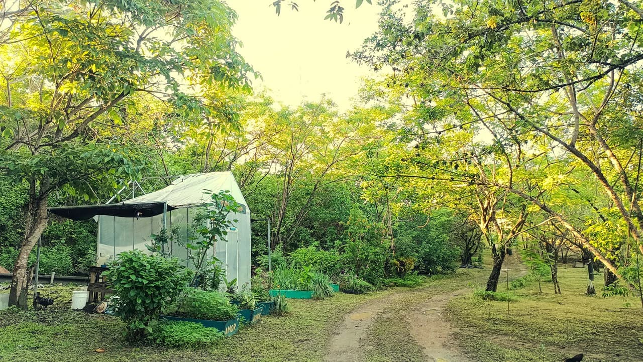 Hill top house with amazing sunset views GB0125: Peaceful Retreat with developing Potential: Property with 2 Homes and Panoramic Views in Guayabo de Bagaces - photo 15
