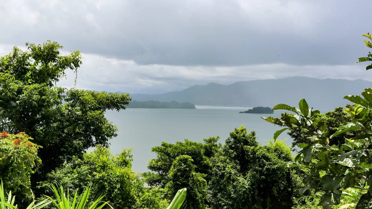 Unique Development Property Overlooking the Pristine Golfito Bay and Golfo Dulce - photo 13