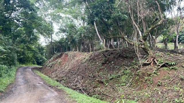 Beautiful Property for Sale in the Mountains of San Juanillo – Prime Land with Building Potential Just 10 Minutes from the Ocean - photo 14