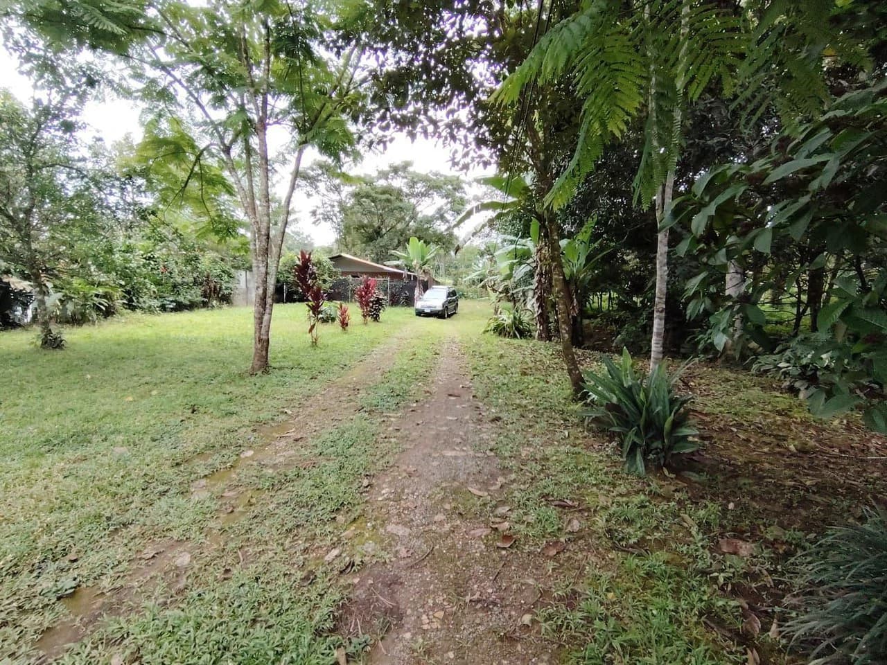 Propiedad en venta, General Viejo, Perez Zeledon.: Mountain House For Sale in General Viejo - photo 6