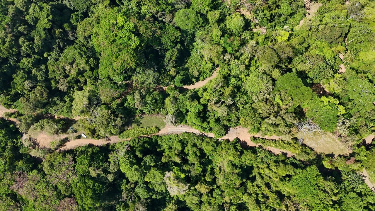 Exceptional Development Opportunity 71 acre Riverfront & Ocean View in Hatillo - photo 16