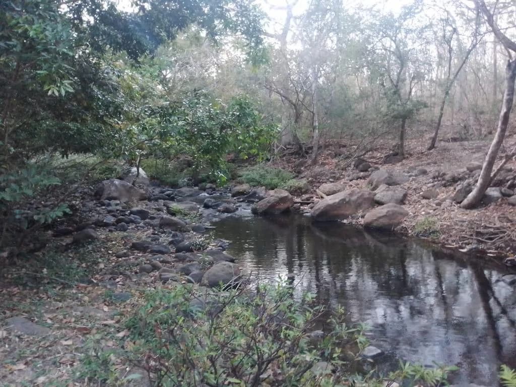 Huge agricultural land for sale near Liberia – excellent investment opportunity with river frontage in Bagaces