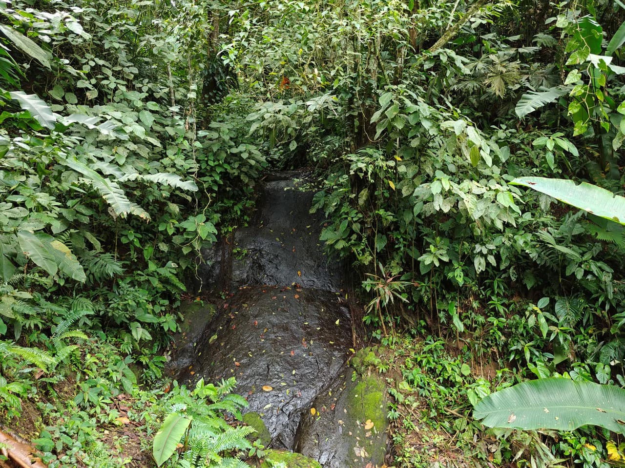 Mountain-Edge Sanctuary with Private Waterfall: 3 Titled Jungle Lots with Platforms, Waterfall, and Income Potential - photo 10