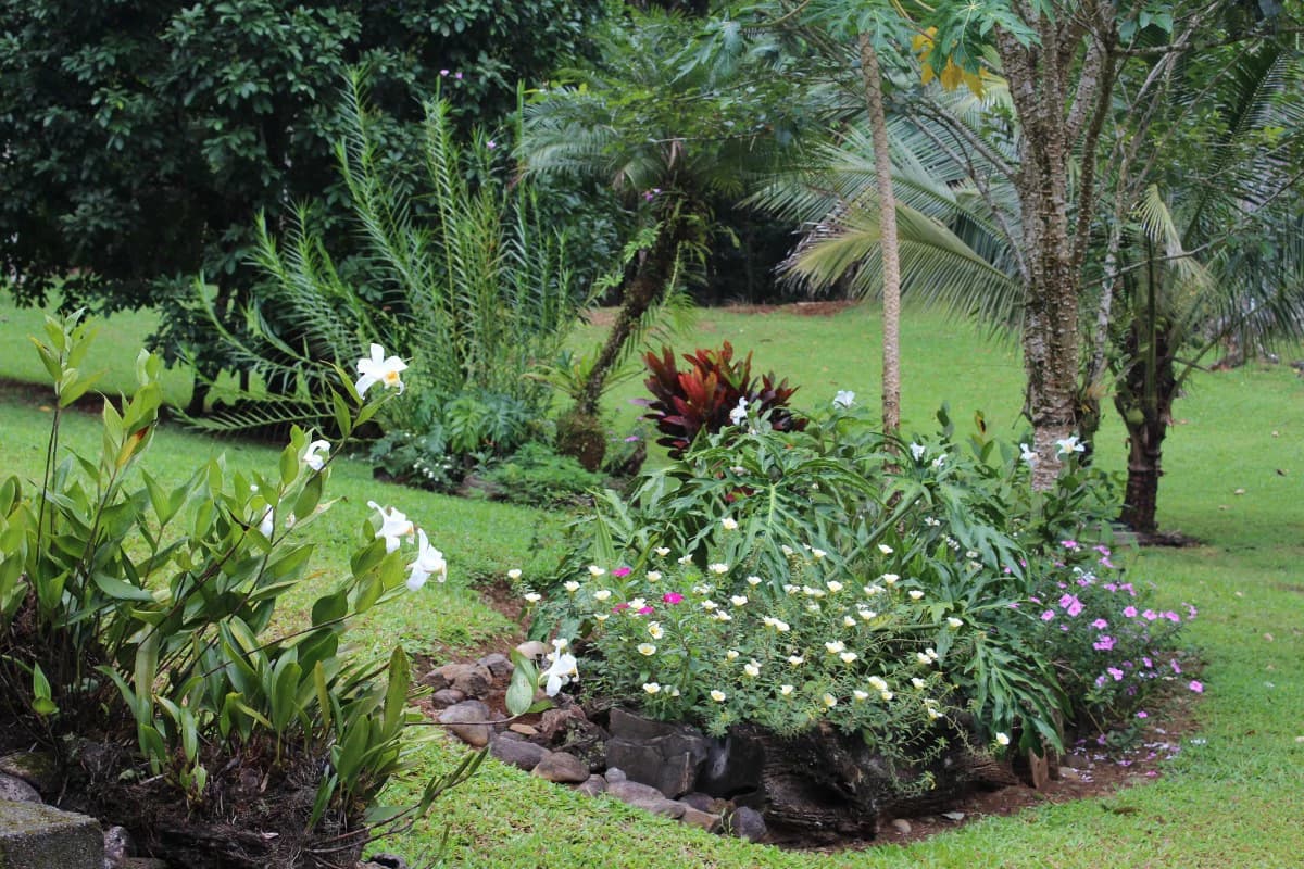 ECO SENDEROS: PRIVATE RAINFOREST RESERVE | 33 HA, LA VIRGEN DE SARAPIQUÍ - photo 4