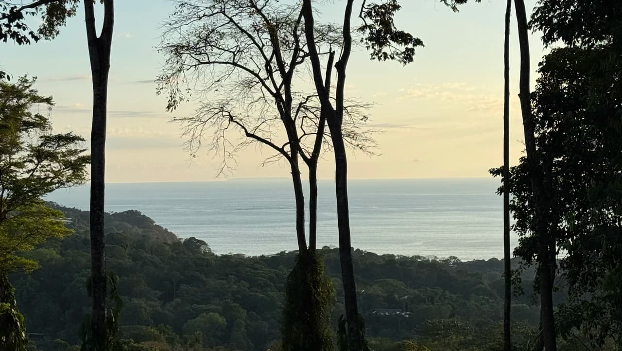 Two Ocean View Lots in Uvita – Easy Access and Large Building Sites - photo 2