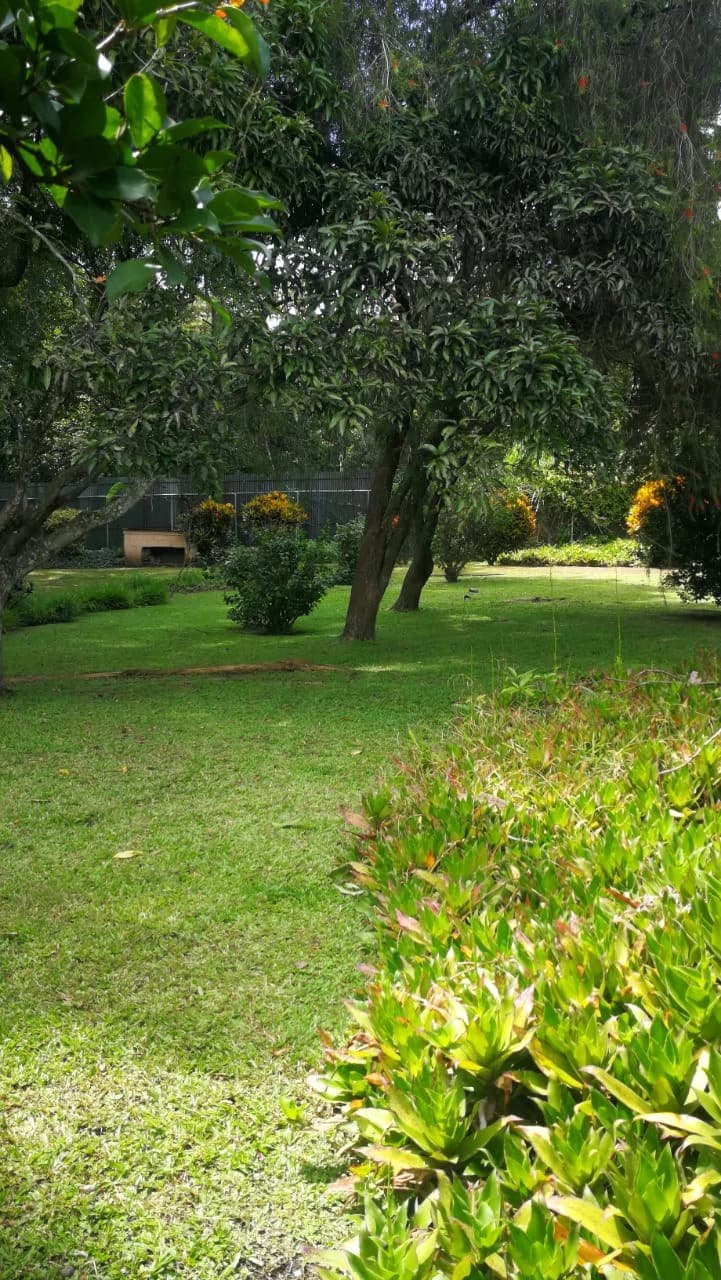 Home Construction Site For Sale in Escazú