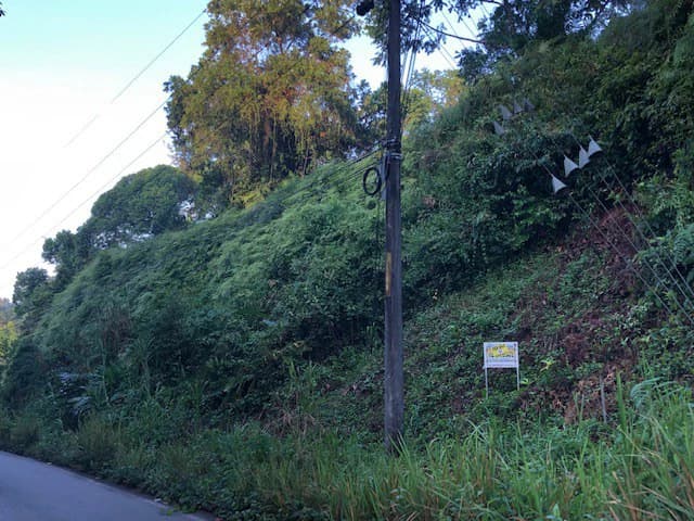 6.5 ACRES – Space To Grow, Build & Thrive, Close To The Beach & Commercial Potential Road Frontage!!!!!: Mountain and Countryside Development Parcel For Sale in Platanillo de Dominical - photo 22