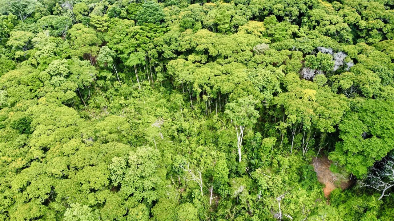 5.11 ACRES – Ocean And Mountain View Estate Property, Several Flat Buildable Areas, Legal ASADA Water!!! - photo 10