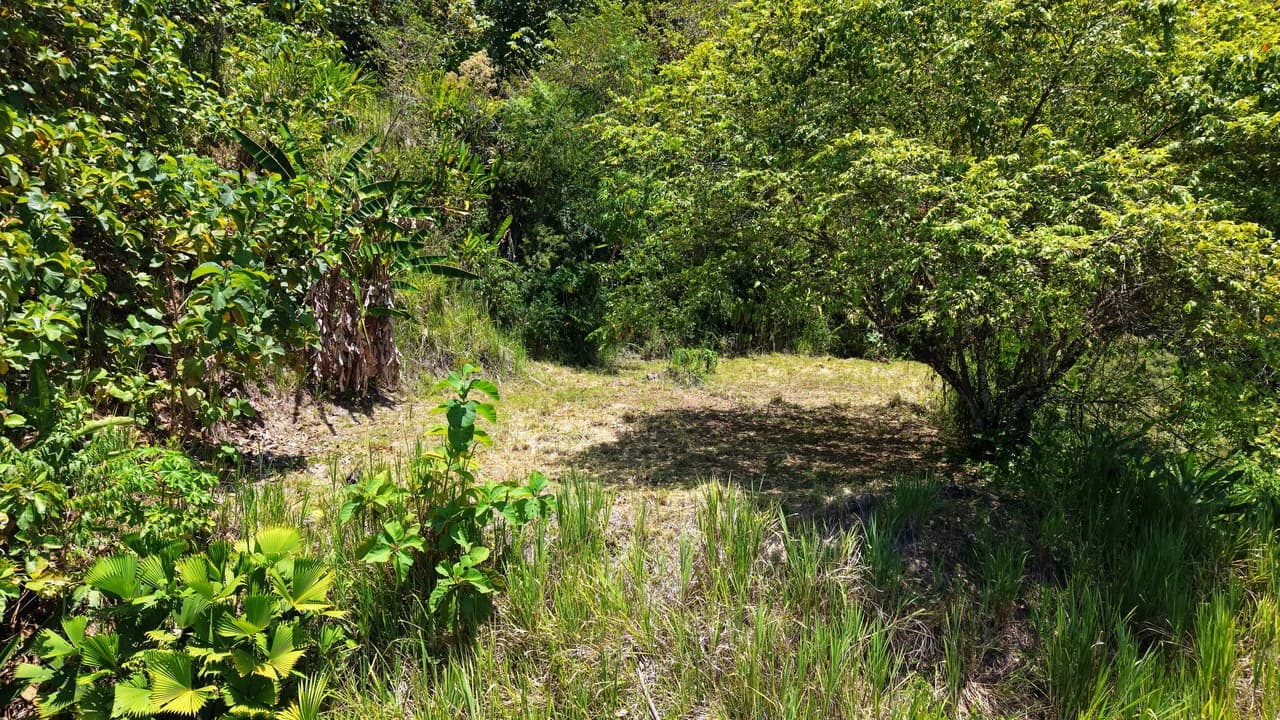 Near the Coast Home Construction Site For Sale in Ciudad Cortés - photo 11