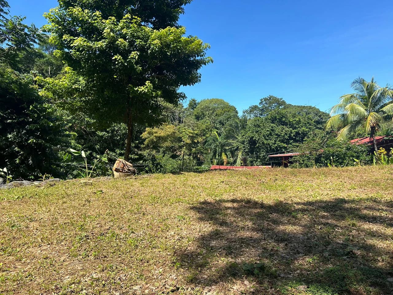Reasonable Lot for sale in Uvita - photo 6