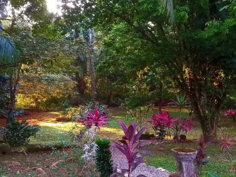 8 Cabinas with Swimming Pool on Lush Jungle Property in Uvita - photo 41