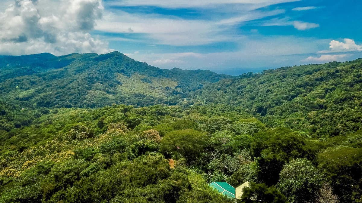 0.8 ACRES- 2 Bedrooms w/ Conversion Potential to 3 Bedrooms, 2 Full Bathrooms, Saltwater Pool, 8min to Dominical, and TWO 4×4 Vehicles Included!!! - photo 45