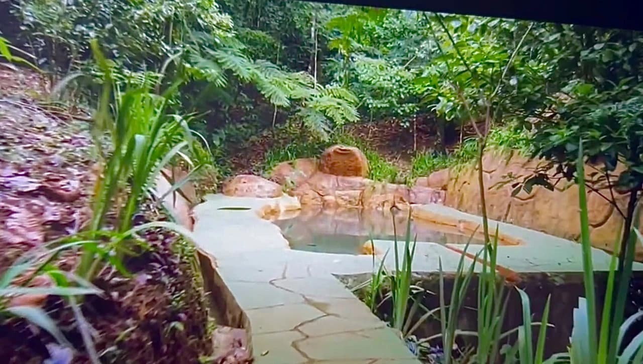 Costa Rica Ecolodge Retreat: TURNKEY COSTA RICA ECOLODGE & WELLNESS RETREAT | 28 ACRES + 5 GUEST CABINS | 45 MINUTES FROM LA FORTUNA - photo 10