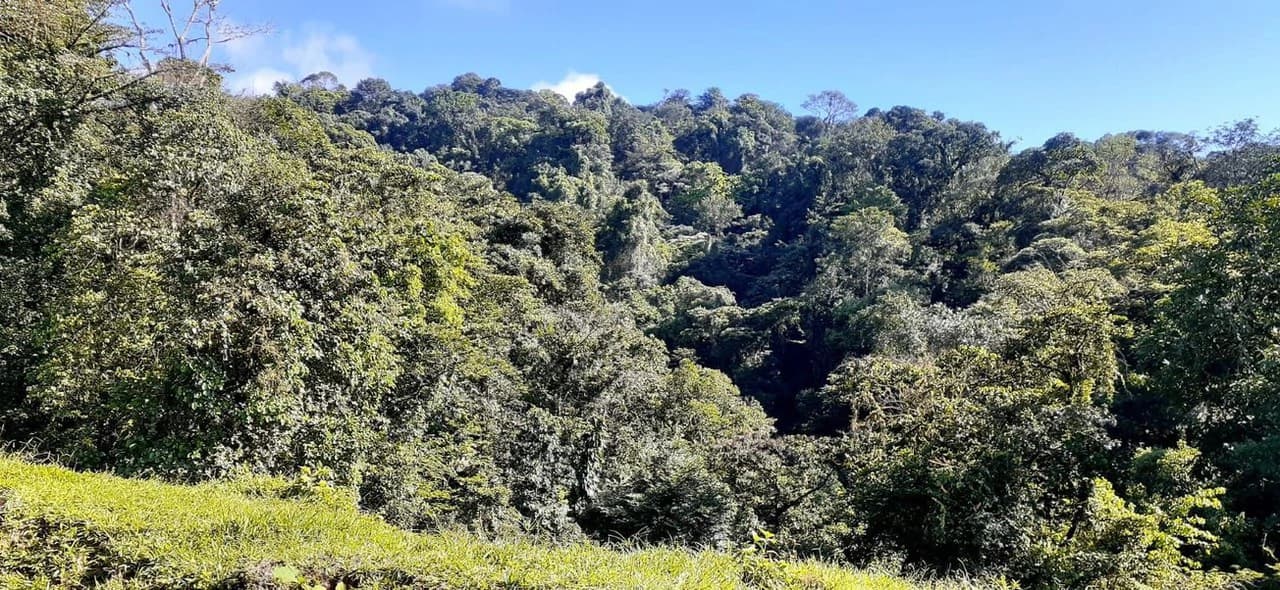 SECLUDED PARADISE WITH STUNNING VIEWS, WATERFALLS & ABUNDANT WILDLIFE - photo 27
