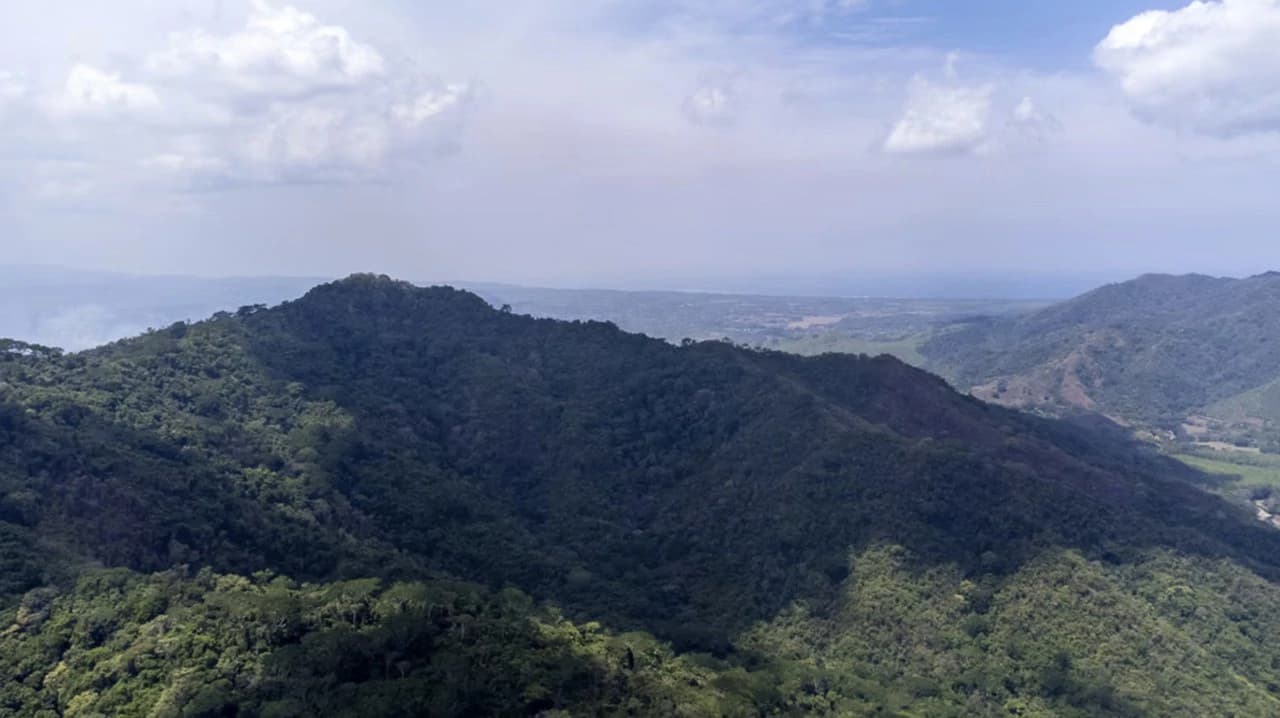 Farm for sale in Puntarenas Lepanto Costa Rica - photo 3
