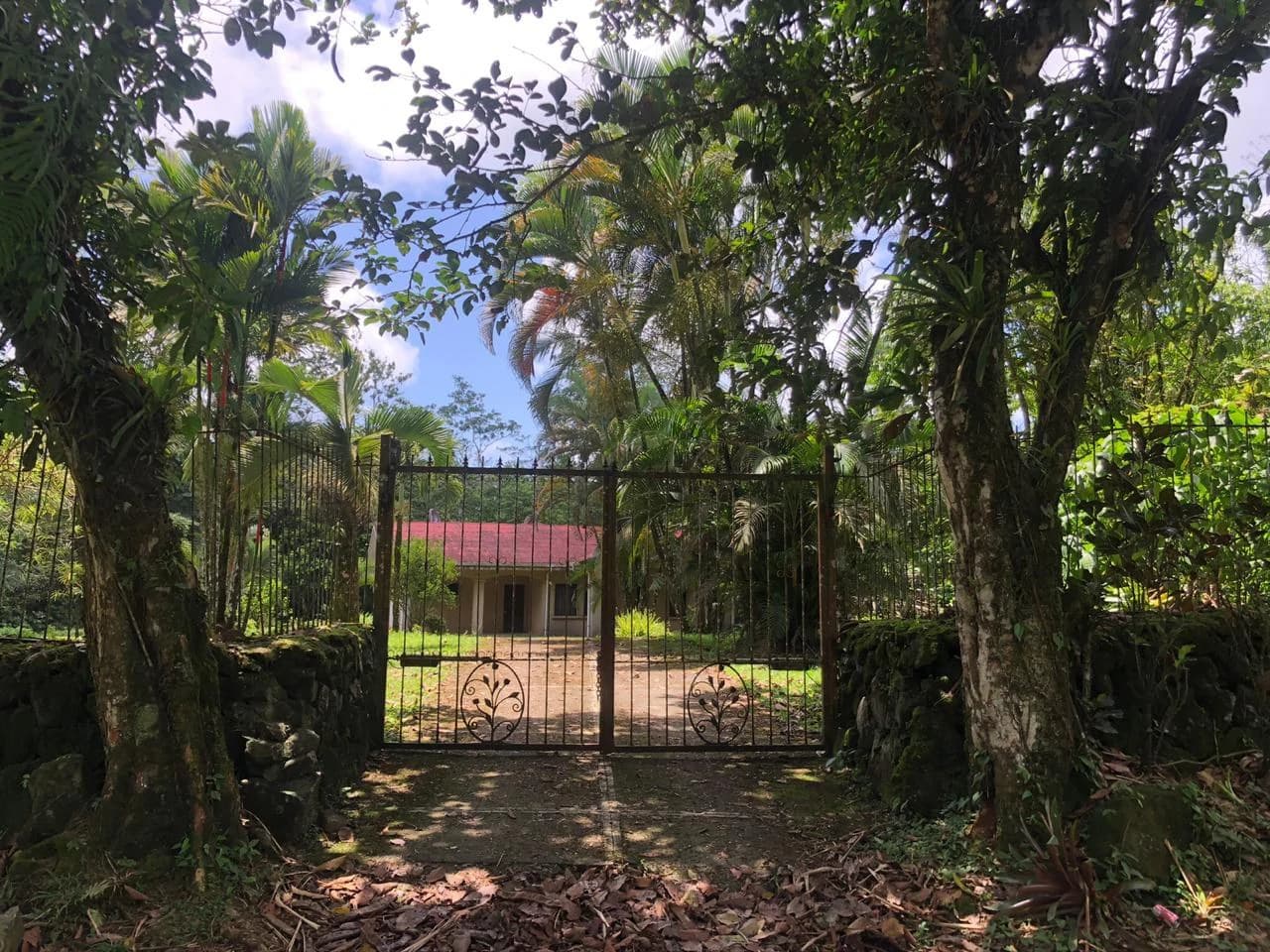 Hot Springs Property in Dos Ríos de Upala – Excellent Investment Opportunity - photo 4