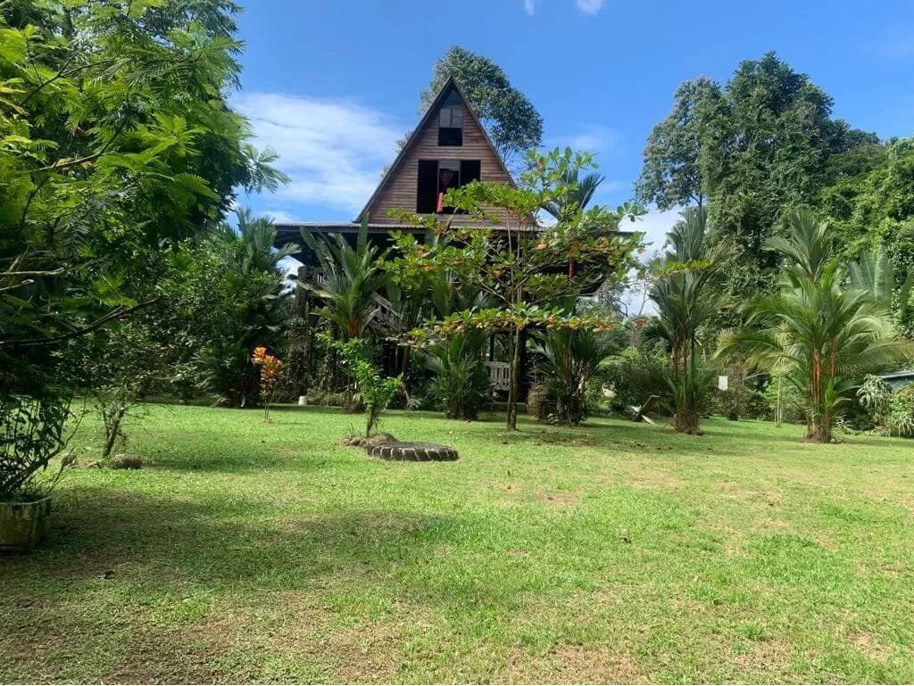 for sale 2 farms in Horquetas Sarapiquí TOGETHER or SEPARATE - photo 9