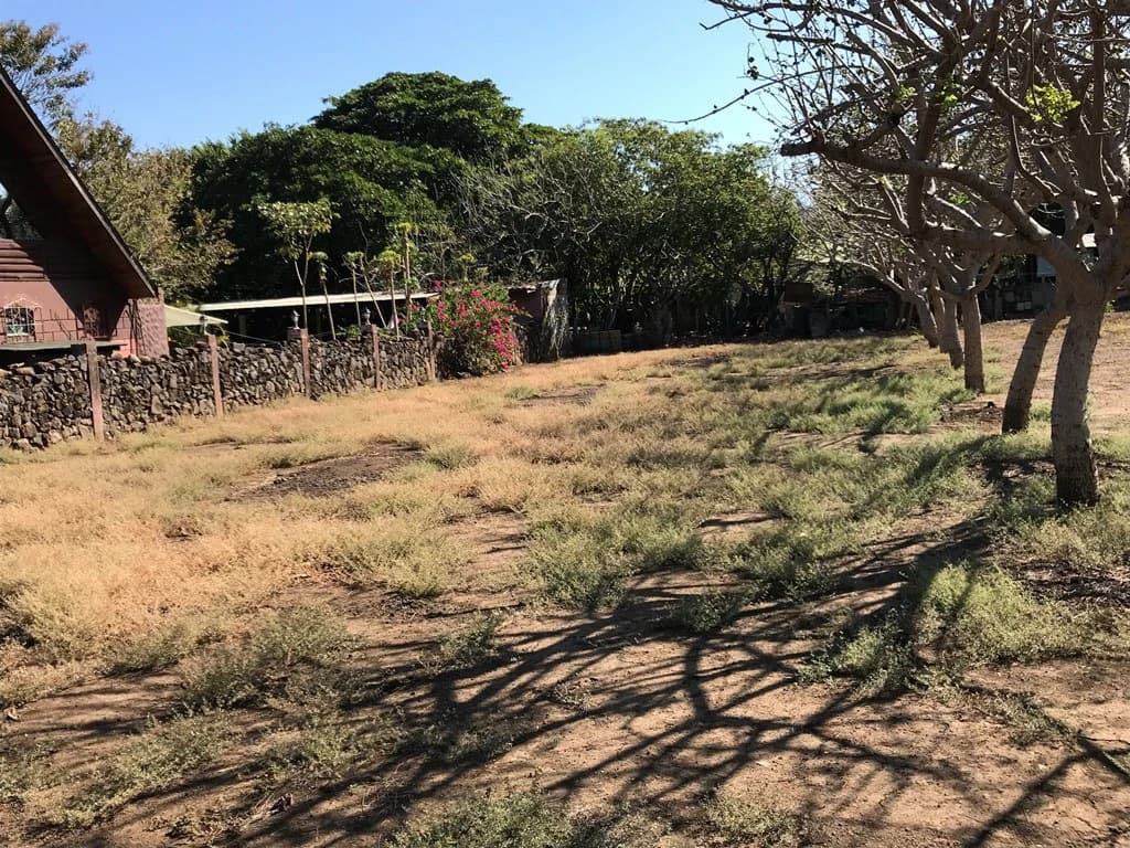 Strategic Lot for Sale in Playas del Coco – Excellent Investment Opportunity in a Prime Business Area - photo 3