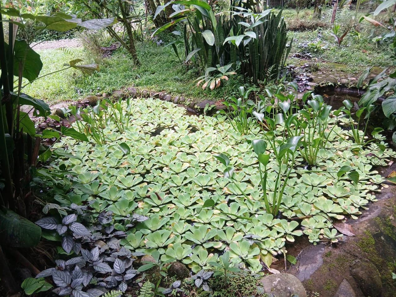 ECO TOURISM PARADISE: Turnkey Boutique Hotel in Nature! - photo 5