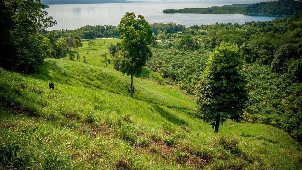 Rincon Massive Acreage and Gulf of Dulce Views - photo 12