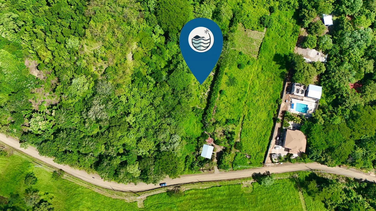 1,766 m² Lot: Between Playa Grande & Tamarindo - photo 6