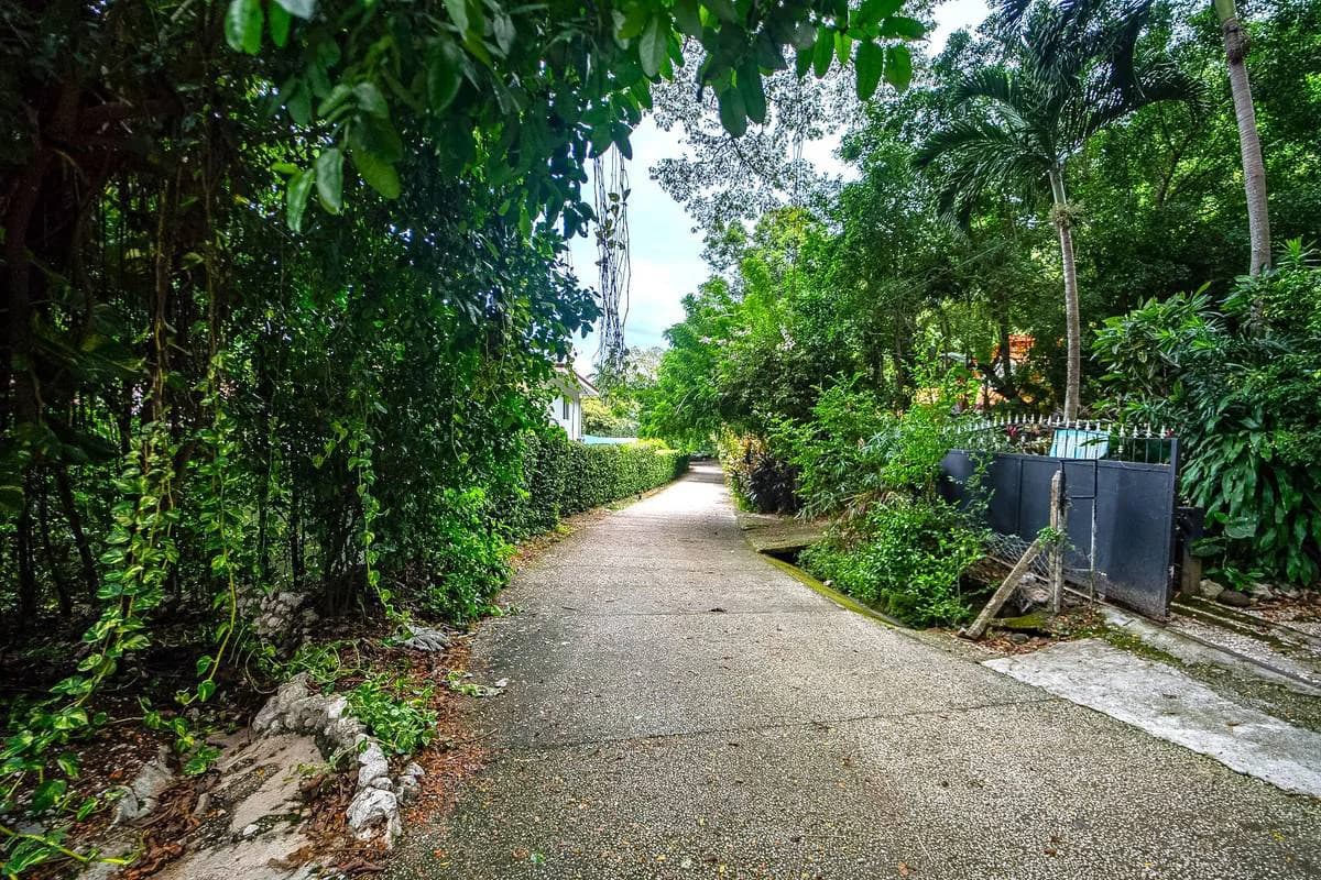 Casa La Choza: Affordable Tiny Home with Expansion Potential, Just a 5-Minute Walk from Buenavista Beach - photo 23