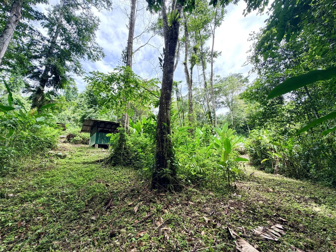 Uvita Development Farm - 40.47 Acres Estate - photo 14