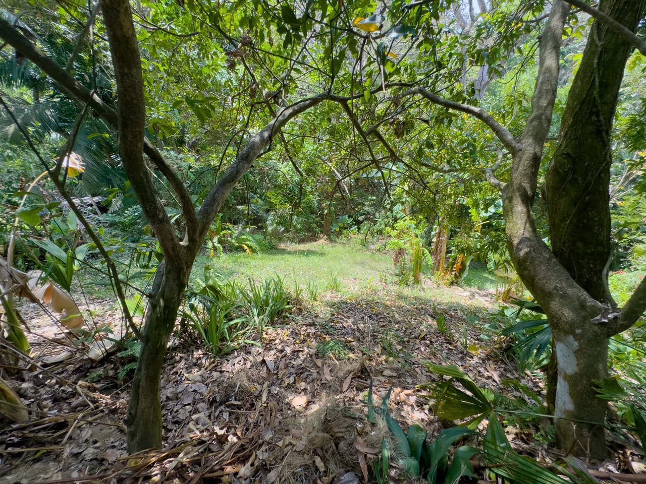 2 Suite Apartment Villa in the heart of Manuel Antonio - photo 32