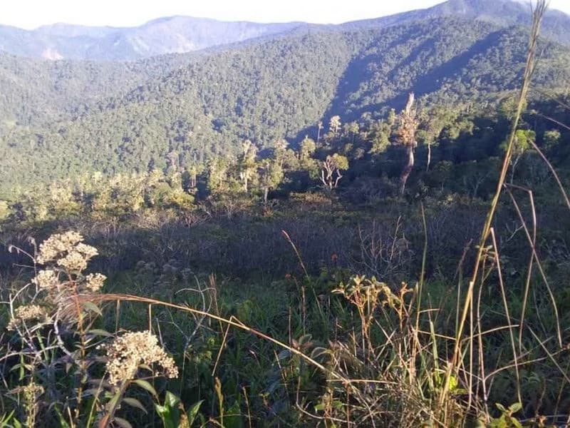 Amazing Self-sufficient 315 Acre Farm - photo 4