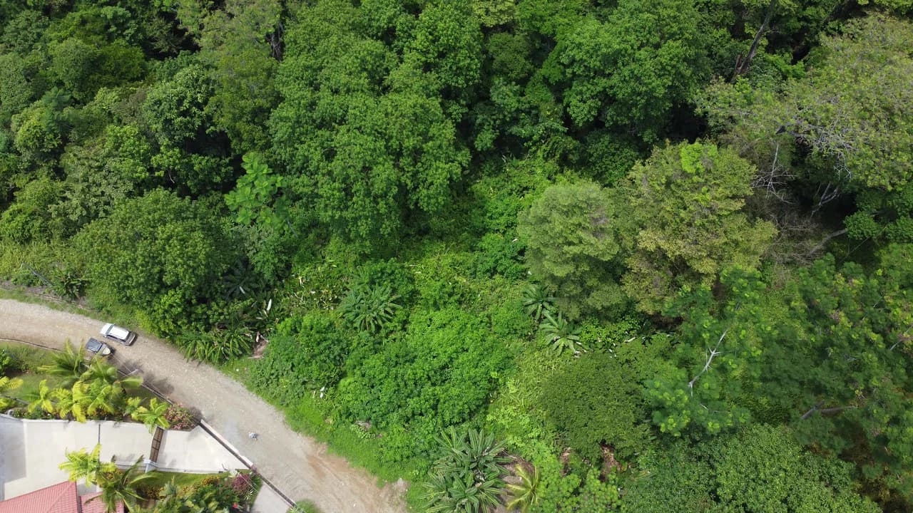 Ojochal - 1 Acre Ready To Build Jungle Lot, Ocean Breezes in Wildlife Corridore - photo 10