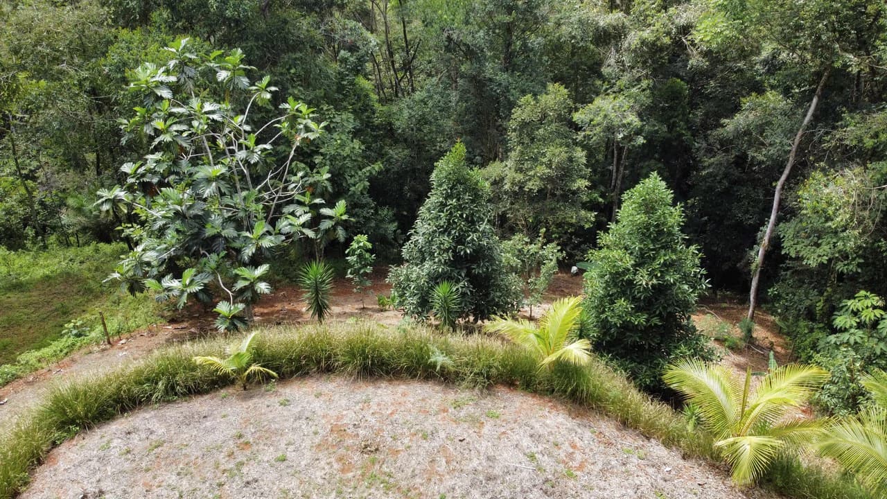 HALF ACRE LOT IN PLATANILLO, MINUTES TO THE BEACH OF DOMINICAL - photo 8