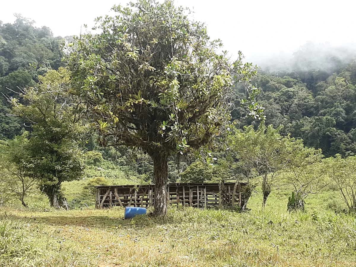 Finca Tesoro Escondido - The Jewel of Uvita - photo 47