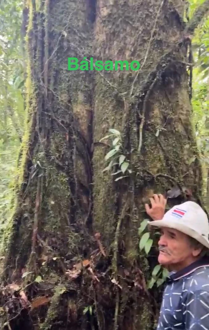 Spectacular 72.44 acres: Costa Rica Nature Estate | Private Waterfall, River, Home & Spectacular Views | Near La Fortuna - photo 27
