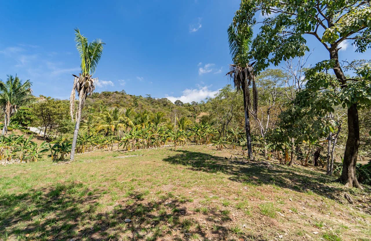 Lote Camaronal Natural: Half Acre Lot Just Mins to the Surf - photo 9