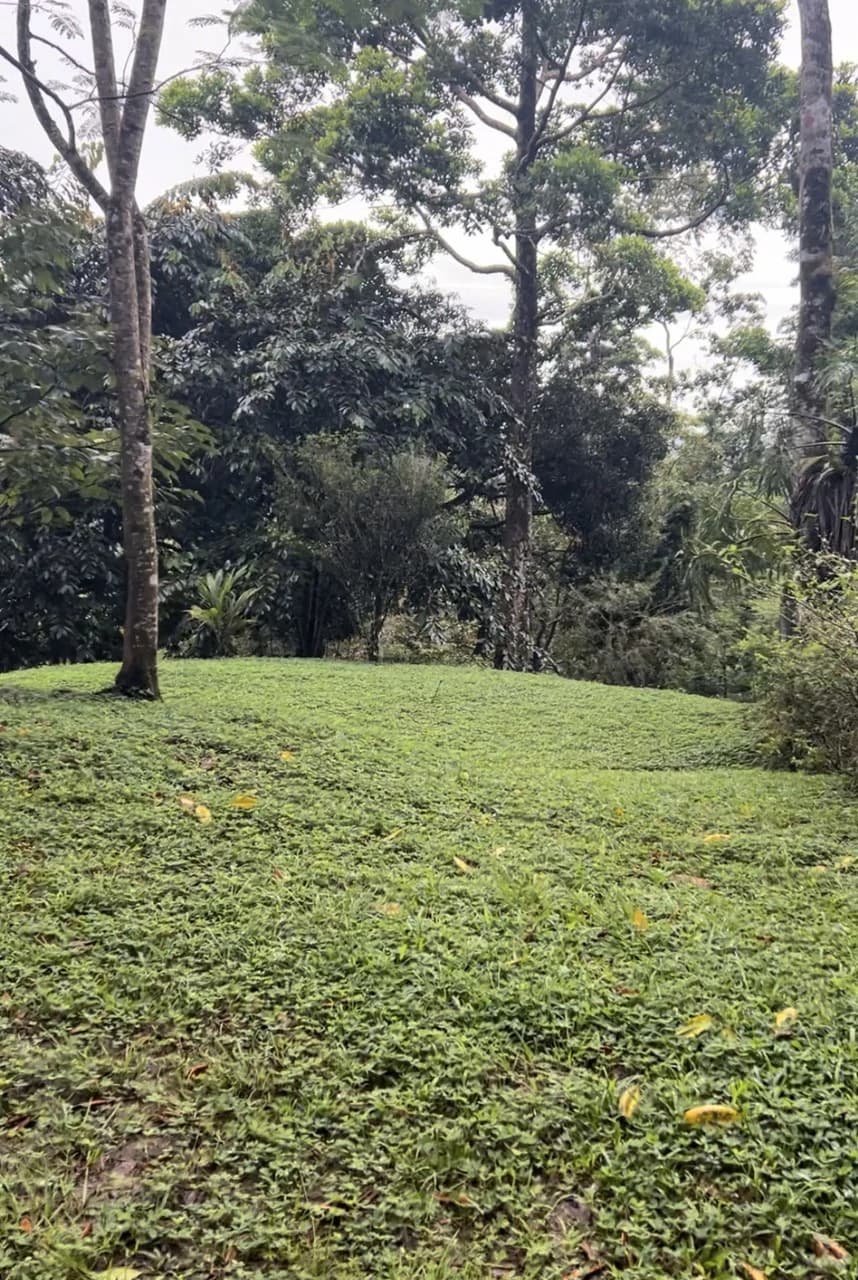 4.82 Acres Near La Fortuna, Costa Rica | Home + River + Vacation Rental Potential - photo 10