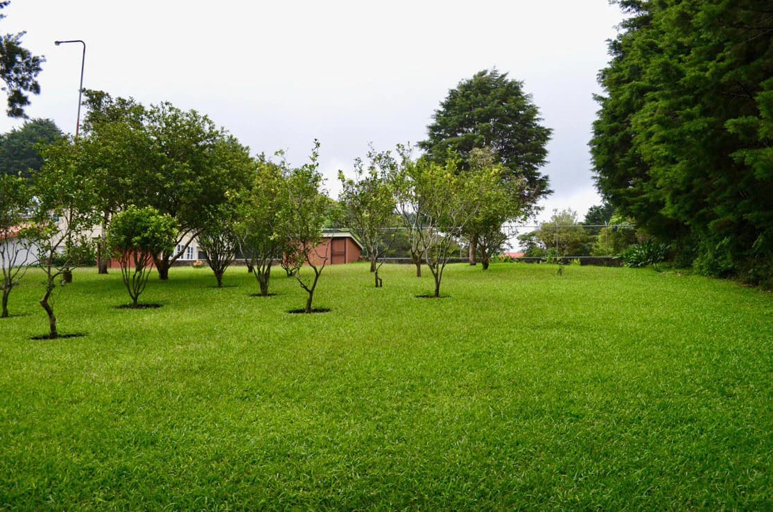 Residencial El Castillo: Property for sale with 2 houses and 3400 sqm2 of land - photo 3