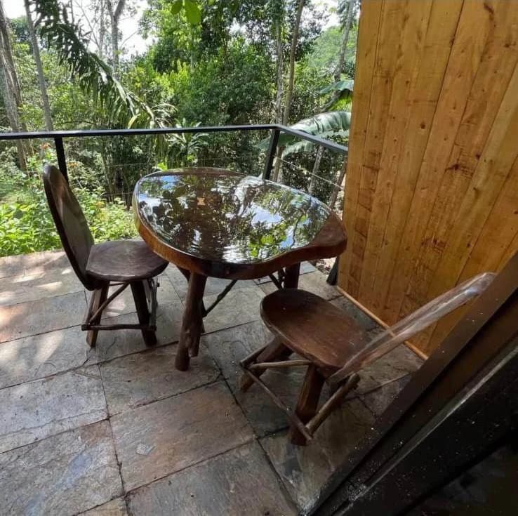 Parrita Jungle home: REDUCED! Luxury Jungle Estate with Airbnb cabin - photo 9