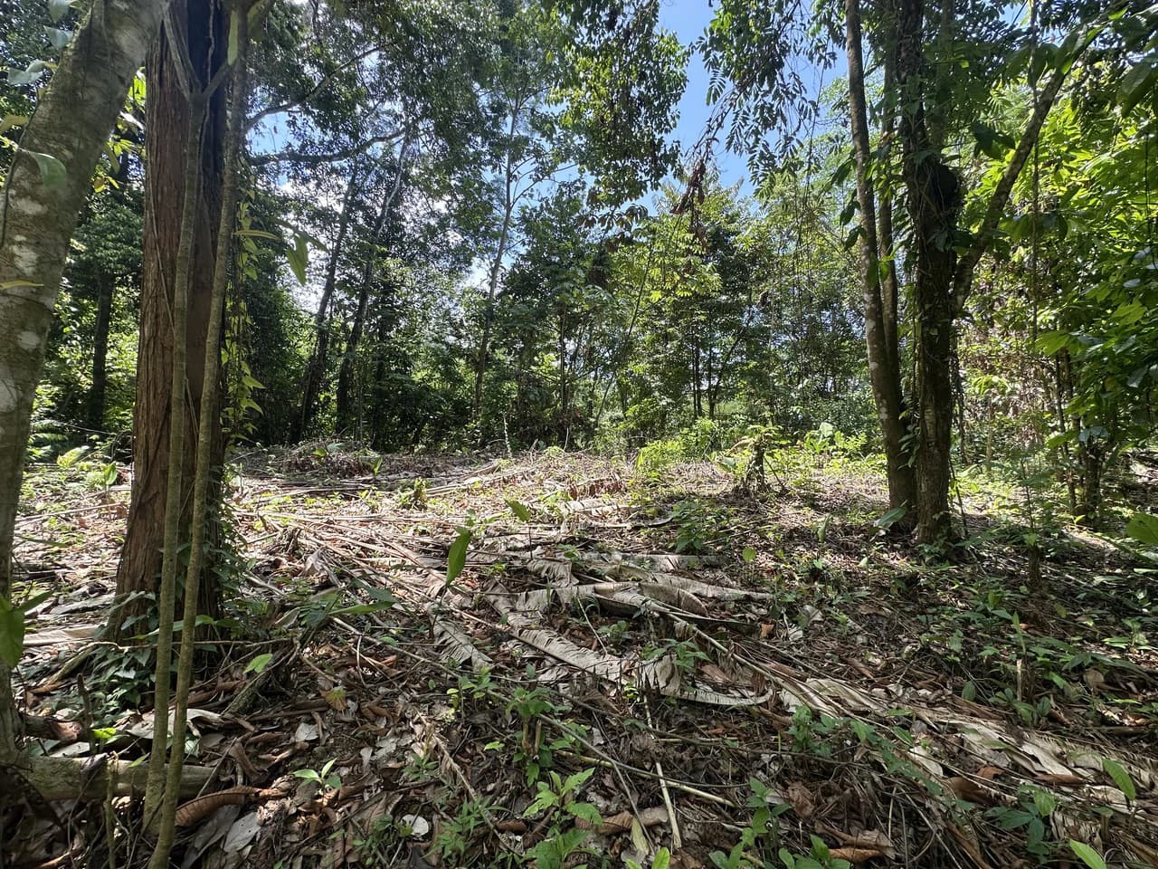 Ocean View Estate Lot with Private Waterfall – Uvita - photo 16