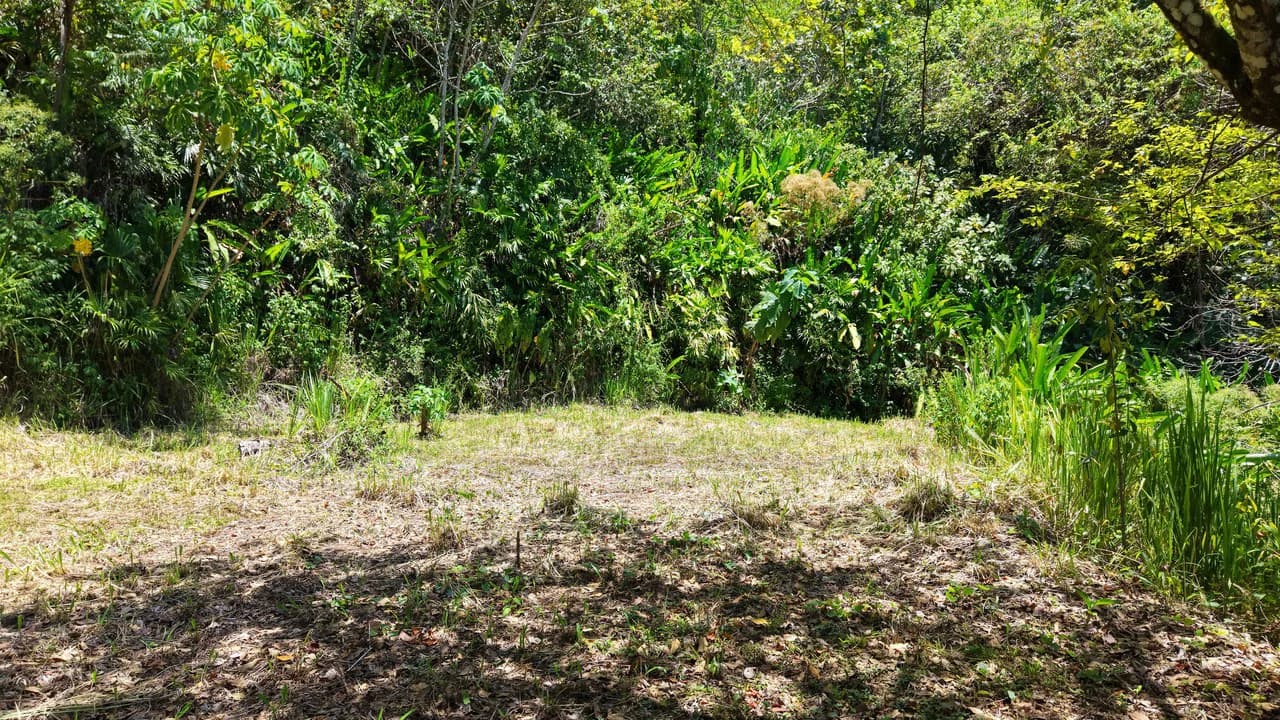 Near the Coast Home Construction Site For Sale in Ciudad Cortés - photo 20