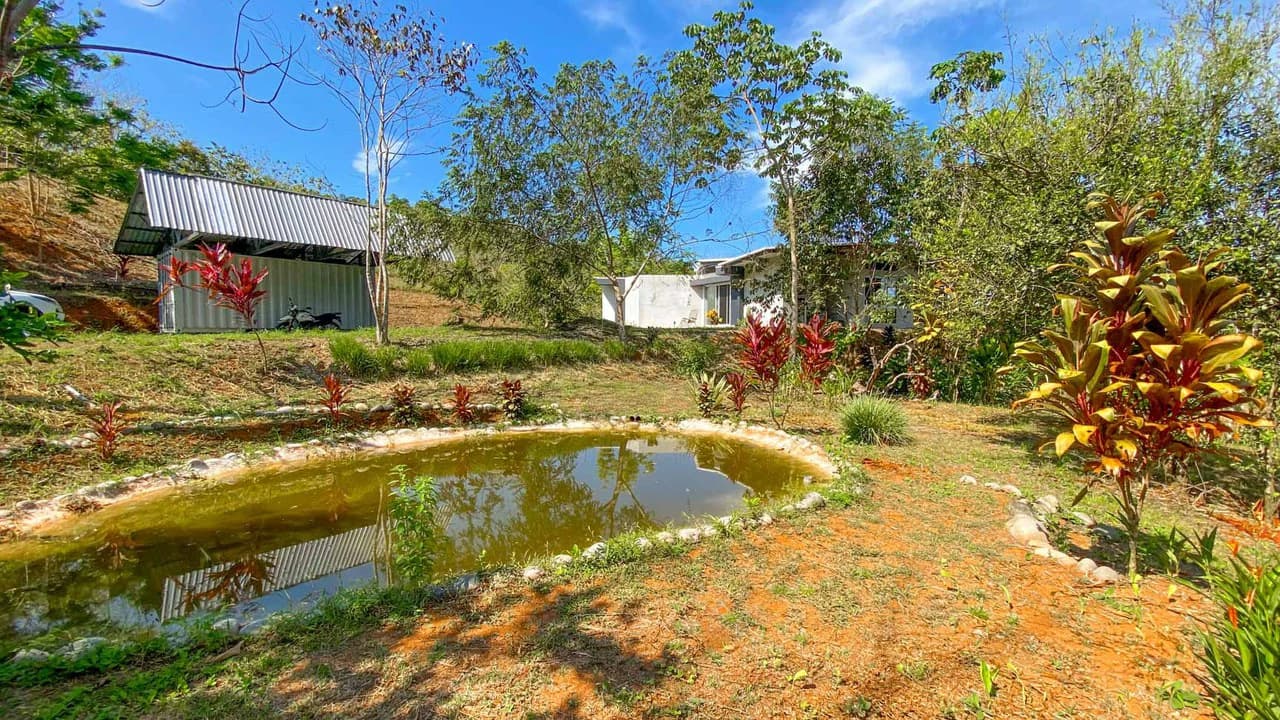 32 Acre Self Sustainable Farm with House Close Ojochal - photo 6