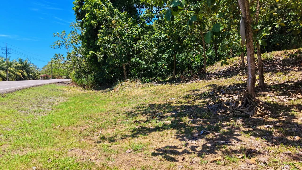 Near the Coast Home Construction Site For Sale in Ciudad Cortés