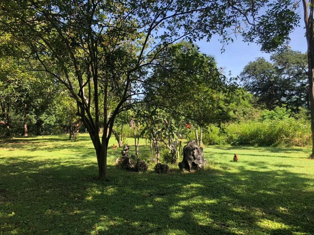 Huge dream Cattle farm for sale with 2 houses close to the Gulf of Nicoya, Guanacaste, Costa Rica