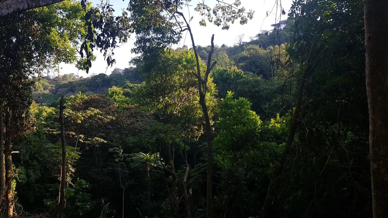 Building Lot in Manuel Antonio, Surrounded by Nature